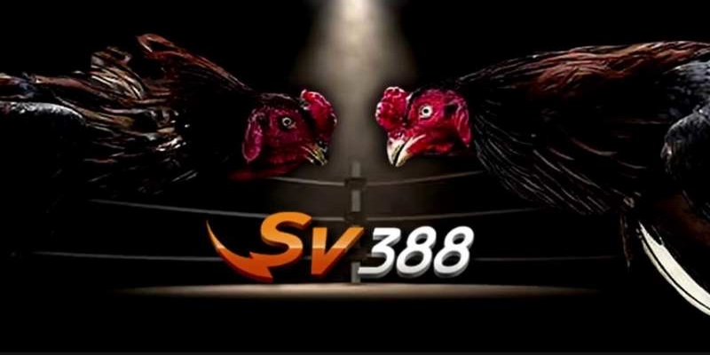 Chơi Nhanh Sv388 Bản Web - Nâng Cao Trải Nghiệm Tiện Lợi