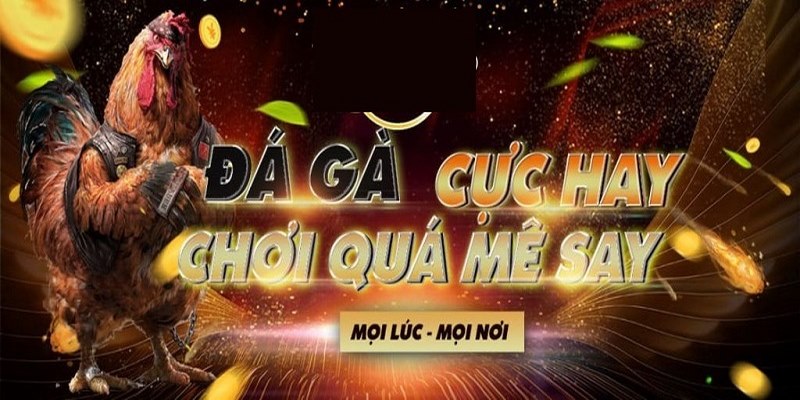 SV388 Tặng Code - Trải Nghiệm Để Có Cơ Hội Săn Quà Khủng 