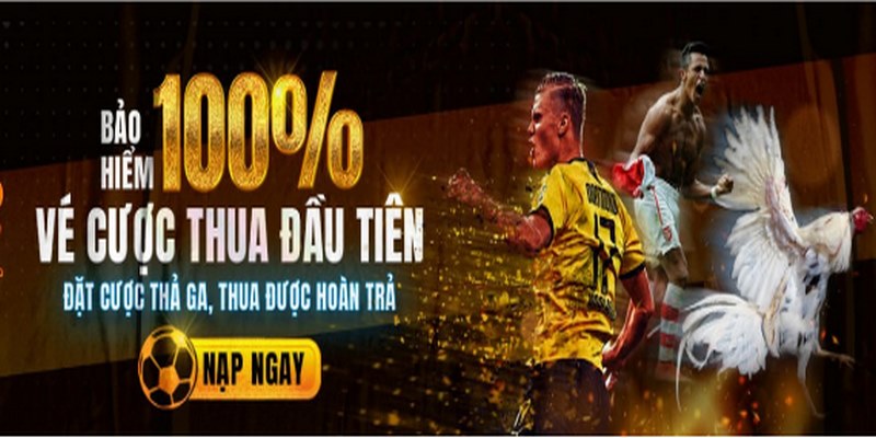 Bảo Hiểm Thua Cược SV388 – Khuyến Mãi Hấp Dẫn Nhất