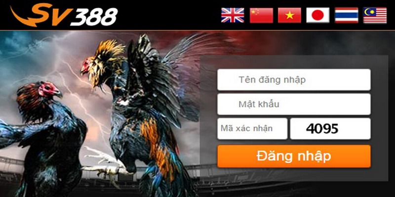 Tải SV388 Android Để Trải Có Được Trải Nghiệm Hoàn Chỉnh